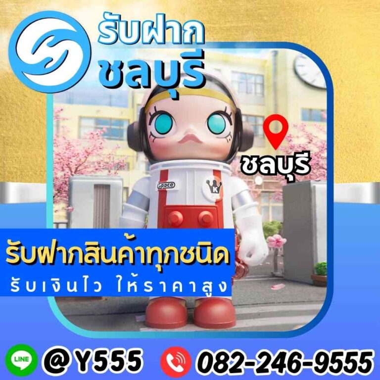 รับจำนำ Artoy และของเล่นดีไซน์เนอร์ที่ชลบุรี, พนัสนิคม, พัทยา